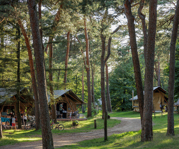 Vue aérienne du Camping Huttopia De Veluwe