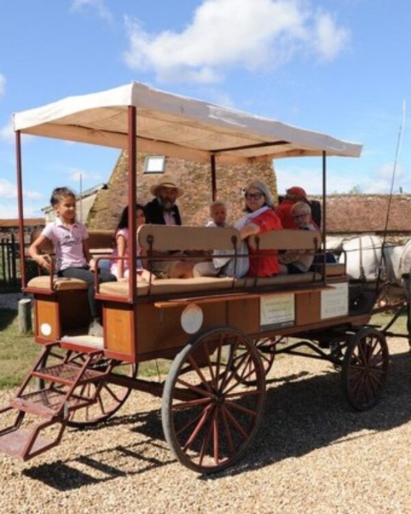 caleche dans le perche